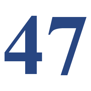 47 Icon